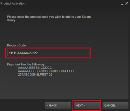 Introducir clave del juego